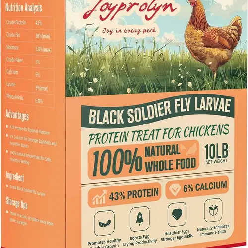 Joyprotyn 1/10lb Non-GMO Black Soldier Fly Larvae Dry Food - 43% High Protein, 6% Calcium, Gluten-Free, Natural Universal All Ages Poultry Food with Molting Support, Eco-Friendly for Chickens, Geese (85X More Calcium Than Mealworms for Strong Eggshells),,