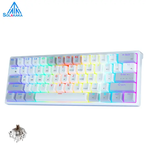 Solakaka SK961 60% Rechargeable Hot Swappable Tri-Mode RGB Backlight Wireless Mechanical Game Keyboard with Bluetooth, 2.4G, USB-C, Programmable Compact for PC, Laptop