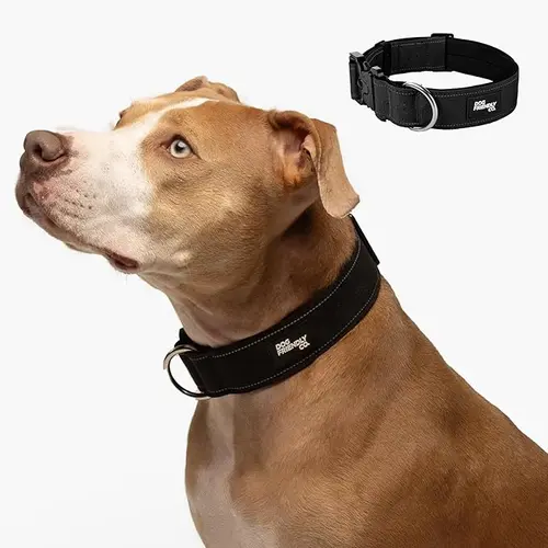 Tactical Dog Collar - Solid, Waterproof Webbing, Heavy-Duty Quick Release Buckle, Plain Design, Chafe-Resist Pad, Night-Safe Stitch, High Visibility Reflective, Comfortable Wear, Custom-Printed