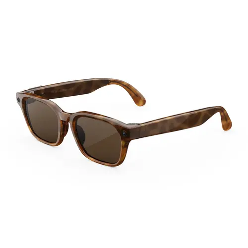 Meta Adventurer Large Classic Tortoise Brown Lenses