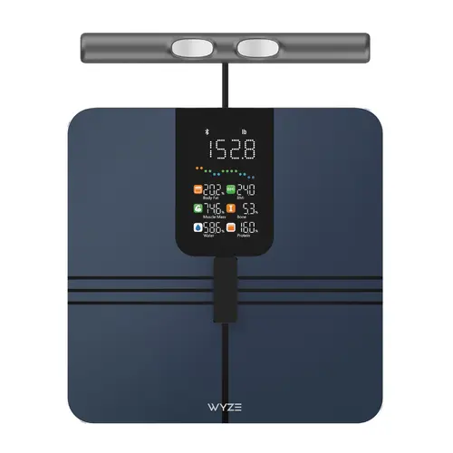 Wyze Scale BodyScan— Bluetooth Body Composition Digital Smart Scale: Weight, BMI, Body Fat, Muscle Mass, & Segmental Measurement, Healthcare, Smart Scale