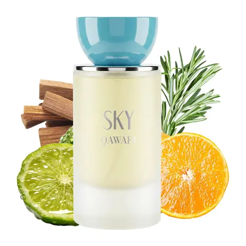 SKY | Fresh Citrus Aromatic | Extrait De Parfum 50ml | 8H+ Long Lasting | Citrus,Rosemary & Patchouli | Office,Gym & Daily Wear cologne for men