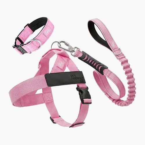 No-Pull Dog Harness and Collar Set Bundle, Pet Supply for Owners with Dog-Friendly Design