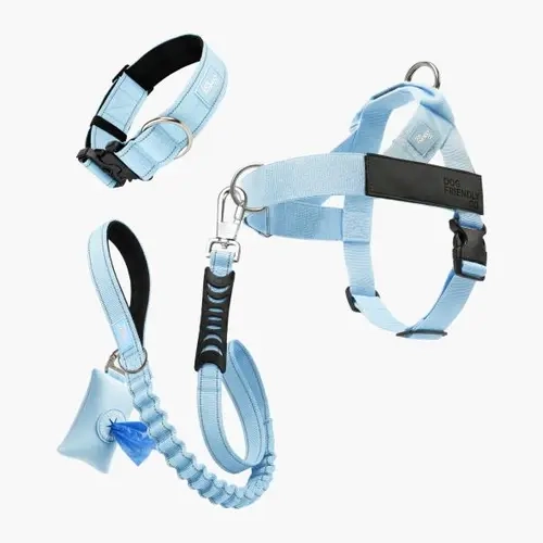Adjustable No Pull Dog Harness Set, Collar + Accessories Bundle for Controlled Walks, Dog-Friendly Pet Supply