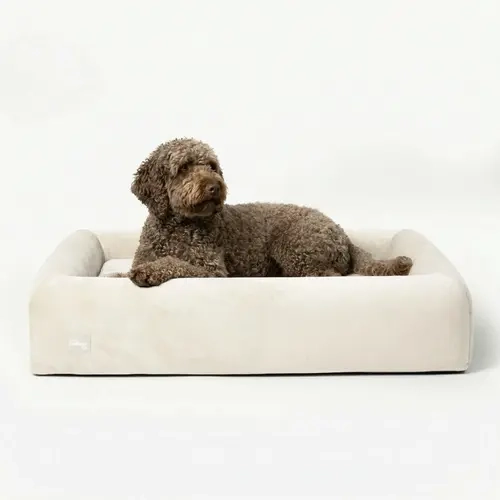 Orthopedic Dog Bed - Single Unit, Dual-Layer Memory Foam, Pressure Relief Supportive Cushion, Non-Slip Base, Dog-Friendly Design