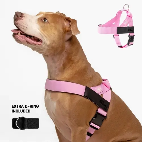 No Pull Dog Harness & D-Ring Bundle Pack - Adjustable Harness with Anti-Pull Ring, Soft Fabric, Leash Control for Walk Calmness, Dog-Friendly Design