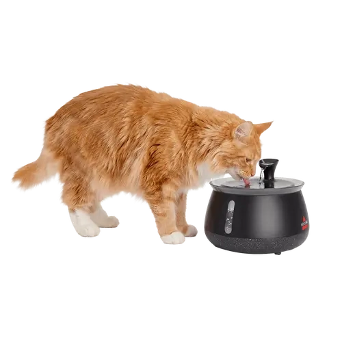 BISSELL HydrateWell™ Cat Water Fountain – Fresh, Filtered Water with Ultra-Quiet Wireless Pump