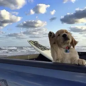 Breeze & Summit