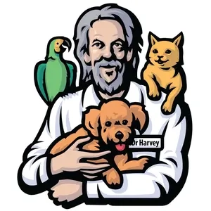 Dr. Harvey's