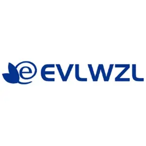 EVLWZL Mattress