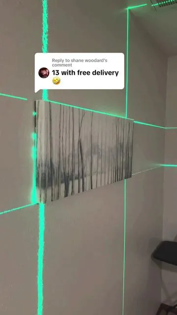 Replying to @shane woodard might have glitched for you #laserlevel #construction #tvmounting 