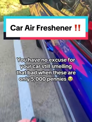 5,000 pennies is an absolute steal for this long lasting car air freshener ‼️ #airfreshener #carfreshener #smellsgood #fresh #car #caraccesories 