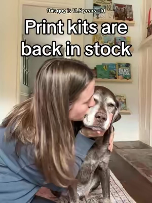 Replying to @Alessandra Fox #dogsofttiktok #seniordog #seniordogsoftiktok #doglover #dogmom #dogtoks #doglove #dogsoftiktokviral 