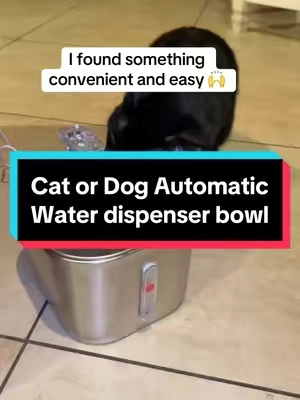 I love this cater dog automatic water dispenser so much. I am buying two more. This is such a great idea and the animals love it and I love that. I only have to fill it once a day. #christmas #giftideas #falldealsforyou #treatyourself #thanksgiving #cybermonday #fallfreshness #blackfriday #halloween2024 #halloween2024 #tiktokmademebuyit #tiktokshopcybermonday #tiktokshopblackfriday #cozycountdown #cat #dog #water #waterdispenser #animal #automatic #kitty #catsoftiktok #animallover 
