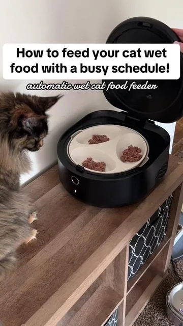 This automatic cat feeder for wet cat food is so cool and a complete game changer 🙌🏻 @Petlibro #cat #catsoftiktok #catfood #automaticcatfeeder #catfeeder #automaticpetfeeder #feedingmycats #wetcatfood #cattips #automaticcatfooddispenser #petlibro #tiktokshopfinds #fyp #falldealsforyou 