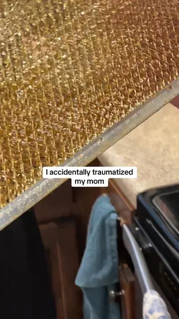 Do ya’ll not clean your microwave filters?? #steamcleaner #cleantok #tiktokshopblackfriday #tiktokshopcybermonday #christmasgiftideas #cleaning #giftideas 
