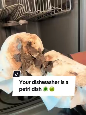 Replying to @Ms.MeLeah so gross right?! #dishwasher #dishwasherclean  #cleaninghacks #tiktokshopblackfriday #tiktokshopcybermonday 