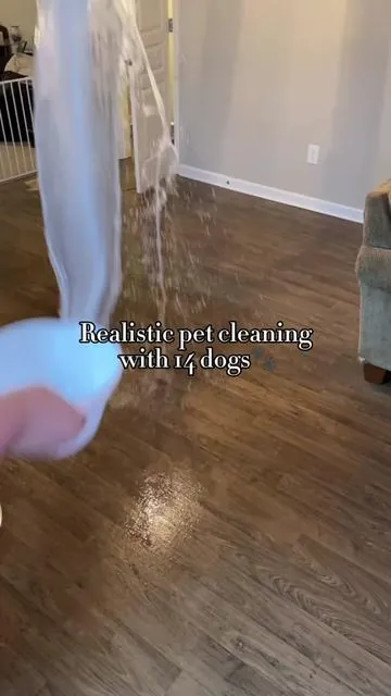 Happy pawlidays🐾 #Cleantok #northcarolina #realistic #nc #mopping #cleaningtiktok #sahmsoftiktok #deepclean #cleaningmotivation #cleaninghacks #dirty #gentlegiant #cleaningtok #cleanfreshhype #cleaning #realisticcleaning #satisfyingcleaning #cleantok101 #greatdanesoftiktok 