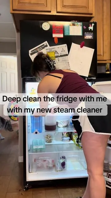 This thing is for real a GAME CHANGER #steamcleaner #cleaningmotivation #sahm #gamechanger 