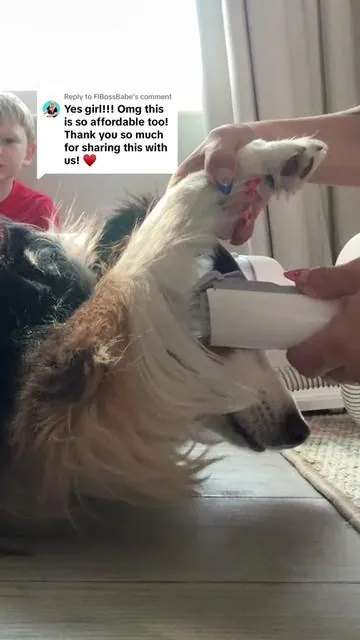 Replying to @FlBossBabe best my favorite pet grooming tool on the market. Not only that but it’s affordable #dog #dogsoftiktok #aussies #australianshepherd #aussiesdoingthings #petvacuum #doggrooming #doggroomer #dogvacuum #petgrooming #shedding #dogshedding #catshedding #pets #dogs #doglover #lmvvc #seasonalgems #spotlightfinds #giftguide #tiktokshoprestock #TTSlevelup #TTsDelightNow #tiktokshopcreatorpicks 