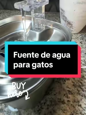 Si tienes gatos es hora de tirar a la basura el plato del agua y empezar a utilizar una fuente que no sólo les mantiene el agua filtrada sino que los incentiva a tomar más agua #creatorsearchinsights #Gatos #FuenteDeAguaParaGatos #ProblemasRenalesEnGatos #EnteDeAceroInoxidableParaGatos #GatosSaludables #GatosTomandoAgua 