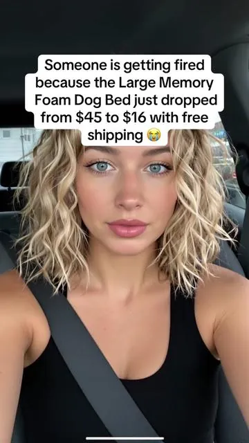 Amazing deal