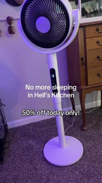 I was so surprised at how much air it pushes!  #fan #oscillatingfan #air #spotlightfinds #summer #heat 