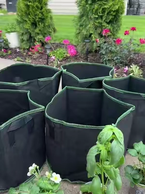 Boost Your Garden with these Breathable Grow Bags!  Get a pack of 5 high-quality, breathable grow bags, perfect for healthy roots, better drainage, and strong plant growth. Inexpensive, durable, and easy to use. Great for beginners and pros alike! #gardening #garden #growbags 