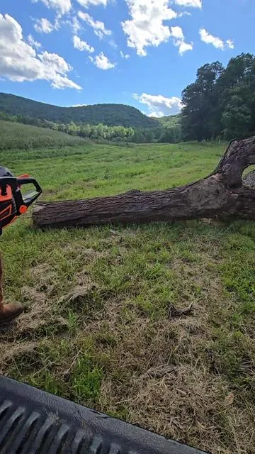 #gaschainsaw #chainsawlife #woodcuttingtools #vevorchainsaw #powercuttinggear #treefellingtools #forestrygear #logcuttingtool #backyardcutting #cutwithpower #chainsawcrew #DIYoutdoorprojects #yardworkessentials #farmtools #ranchgear #outdoorpowergear #toolsofthetrade #firewoodprep #TikTokShopSummerTurnUp #Dealsforyoudays #TikTokShop #tictokshopping #tictok @vevorstore