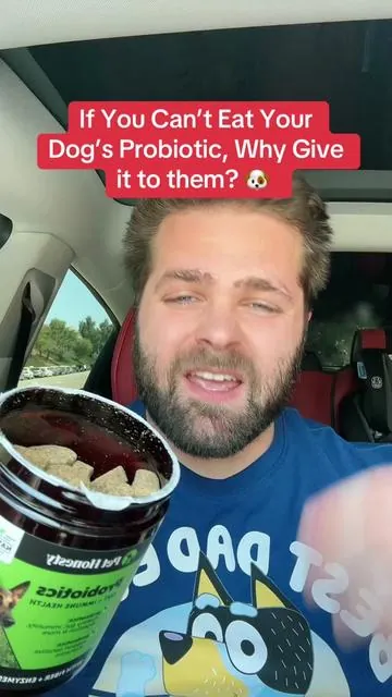 After countless $300 vet appointments just to temporarily fix the problem. These probiotics solved the root cause #dogprobiotics #dogitchyskin #gassydog #dogsoftiktok #doglover #dogdad #doghealth #doghealthtips 
