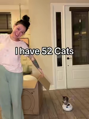 Automated litter boxes… I will never have a cat and not have one of these. It’s a non negotiable! The end! 50% off right now so run!!! No more cat stink! #catmom #catlitterhack #automaticlitterbox #litterboxhack 