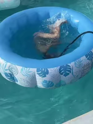 @Sloosh #tiktokshopcreatorfinds #tiktokshopcreatorpicks #tanningpool #floats #poolfun #poolfloat #inflatablepool 