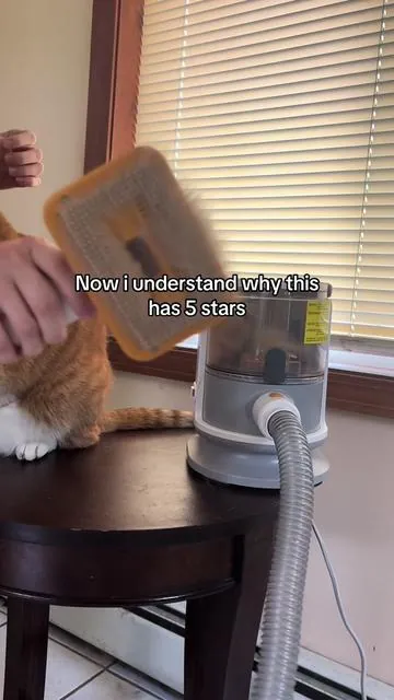 #petsoftiktok #dogsoftiktok #catsoftiktok #cat #dog #catmom #dogmom #petproducts #grooming #pethair #vacuum #fyp 