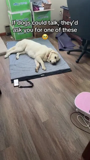 If your dog is panting like crazy this summer, get them one of these. This ice mat stays cool without needing to be plugged in or frozen first—it activates with body pressure, and it’s one of the easiest ways to keep your pup comfy and safe in the heat. #petcoolingmat #dogsummerhack #coolingmatfordogs #summerdoggear #dogparentessentials #tiktokshopunboxing #tiktokshopcreatorpicks #spotlightfinds #tiktokshopsummerturnup #dealsforyoudays #superbrandclub #summertransformation #summerwonderland disclaimer: this price / deal is ONLY VALID at the time of posting and is not a permanent price.