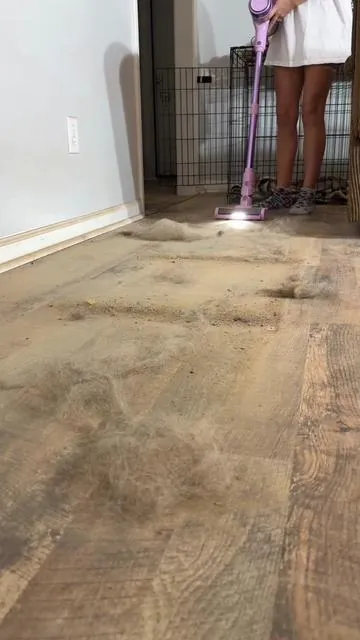 This vacuum is TikTok Shop GOLD 🧼✨ I moved the couches, vacuumed up all the German Shepherd hair, dirt, and crumbs—and it handled everything like a pro 😮‍💨 It even got deep into my carpets!! If you’ve got pets or messy kids (or both 😅), you need this in your life. Linked it right here from TikTok Shop so you don’t have to go searching 🛒 #ad #TikTokMadeMeBuyIt #TikTokShopFinds #PetHairSolution #CleanTok #satisfyingclean #homeika 