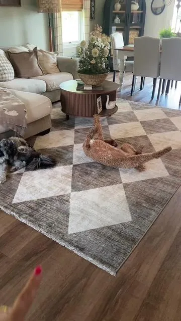 this are rug is everything!  #rugsoftiktok #rug #arearugs #dealsforyoudays 
