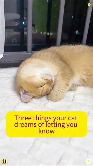 Cat Grass Treats —Help Your Cat Pass Hairballs Easily!a Must-Have for Shedding Season!#cat #dealsforyoudays #catsoftiktok #catfood #catlover #cattreats #cathairball #pets 