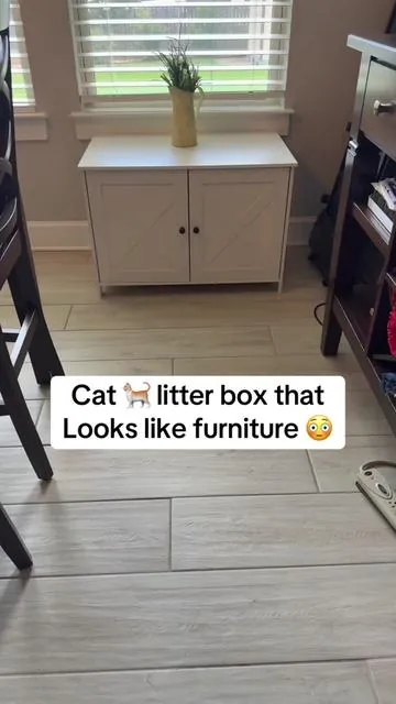 #litterbox #catlitterbox 