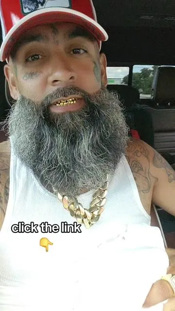 7528884521798782238
