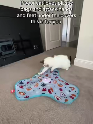 39% off right now not sure how much longer that will be here. #cattoy #catsoftiktok #housecat #catentertainment #catlover 