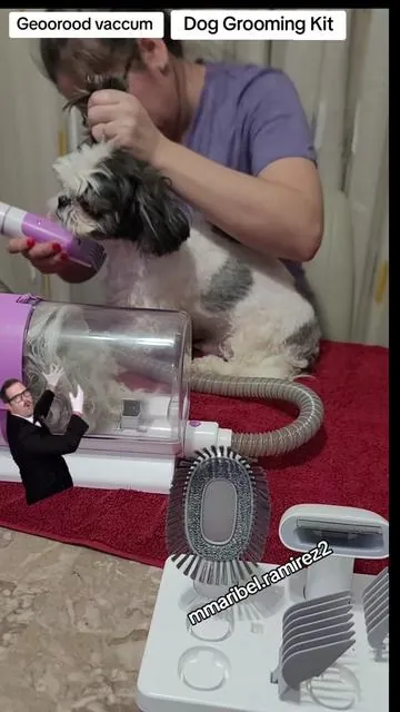 Replying to @rosario.montelong29  CORTARLES EL PELO A MIS PERRITOS NUNCA FUE TAN FACIL Y RAPIDO, ANTES PAGABA 70 DOLARES CUANDO LOS LLEVAVA A QUE LES HICIERAN GROOMING,  ME AHORRA TIEMPO Y LES AHORRO EL ESTRES A MIS PERRITOS,. AMI ASTA SE ME QUIEREN DORMIR MIRNTRAS LES CORTO EL PELO🥰🤣🐕  SUPER RECOMIENDADA ESTA MAQUINA PARA CORTES EL PELO A TUS MASCOTAS.  Y DE PASO TE AHORRAS UNA LANOTA🙊😉 #doggrooming  #doggroomingkit  #groomingtips #groomingkit #tiktokshopbacktoschool 