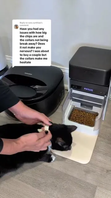 Replying to @sara.cynthiaa I have the newest version from @Petlibro (linked) and the collars it comes with are breakaway. You can also put the dongle on any collar you want. #tiktokshopbacktoschool #petlibro #cookiecat #autofeeder #petsupplies #catlover #rfid #catfood 