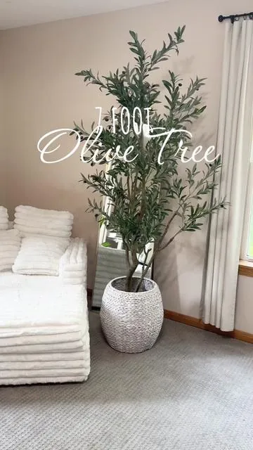 7, 6 or 5 ft olive tree. Indoor or outdoor, it’s an instant upgrade!! This is the 7 ft and I’m so impressed! #olivetree #artificialtree #homedecor #outdoordecor #patiodecor #artificialplants #bedroomdecor #tree #trees 