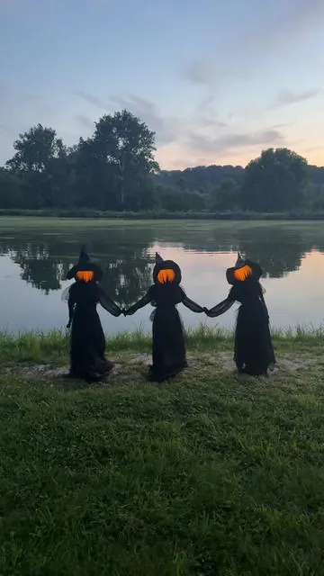 Spooky season starts meow 🧙🎃 #spookyseason #halloweendecor #falldecor #spookydecorations #witches 