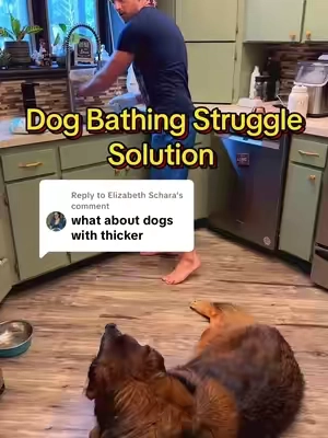Replying to @Elizabeth Schara bathtime on a dog with ultra thicc coats. #DogMomHack #TikTokPetFinds #MessFreeBath #PetCleaningHack #ApartmentDogLife #TikTokMadeMeBuylt #PetCareMadeEasy #doghair @SCRUBZZZ 