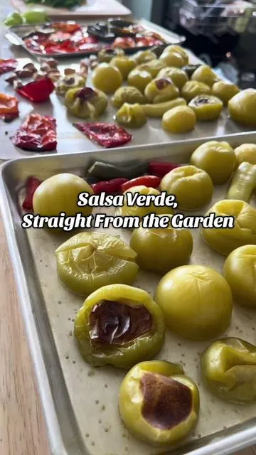 Chopped, blended, and gone quick… this salsa verde is next-level! #kitchenaid #kitchengadgets #homesteadlife #gardening #homemadefood 