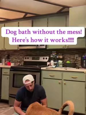 Bath time without the mess 🐾 These rinse-free mittens are a lifesaver for dog owners. Perfect for apartments, big pups, or when you just don’t have time for a full bath! #DogMomLife #ApartmentDogs #PetParentHacks #EasyDogGrooming #DogCareMadeEasy  @SCRUBZZZ 
