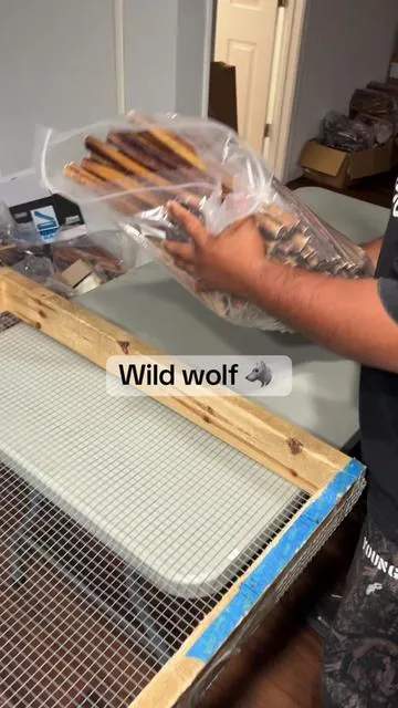 The best of the best 💯 🐶 @Wild Wolf Bully Sticks !  #wildwolf #dogchews #aussies #dogtreats #fyp 
