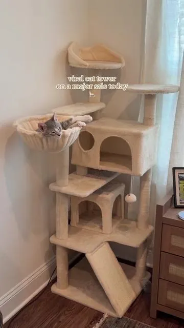 My cats are OBSESSED with this cat tower 🤍✨ #cattower #cattok #catsoftiktok 