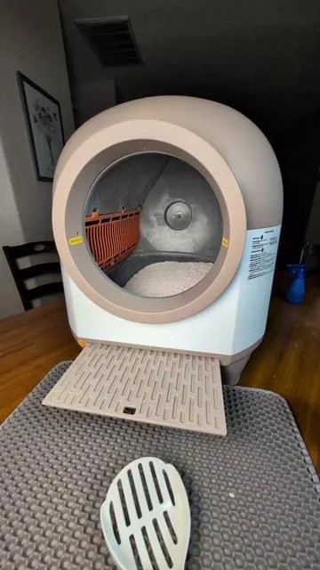 Best Automatic Litterbox for Large Cats and Multiple Cats! #cat #catsoftiktok #automaticlitterbox #tiktokshopfalldealsforyou 